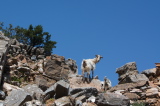 09_0895__GR_00