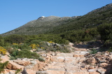 09_0875__GR_00