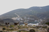 09_0964__GR_00